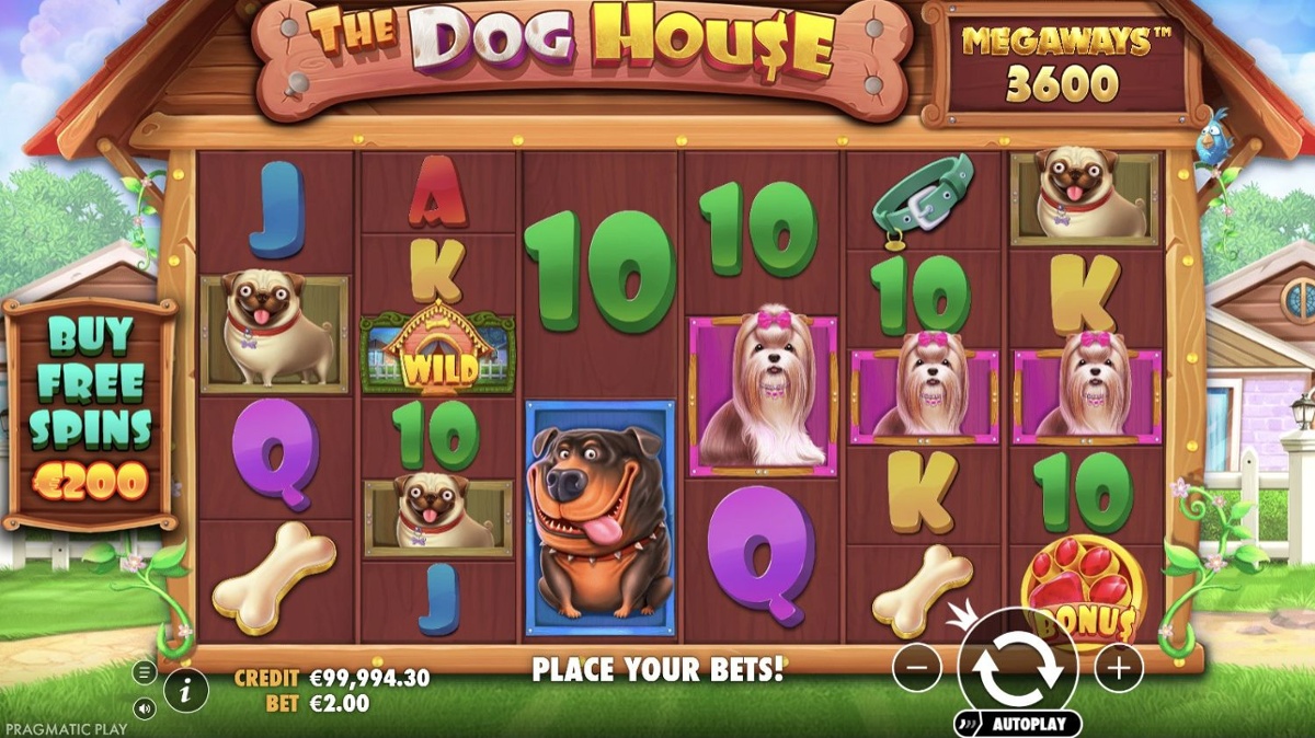 The Dog House Megaways